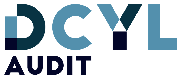 DCYL Audit